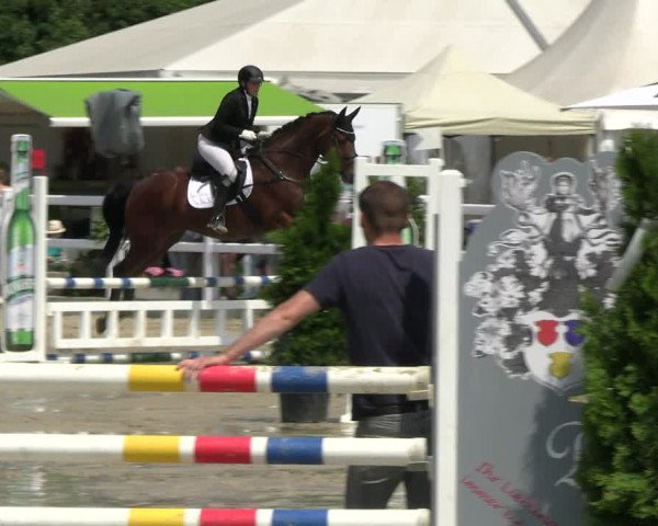 Reitturnier Dortmund-Somborn 2023