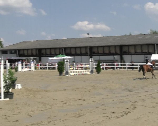 Reitturnier Dortmund-Somborn 2023