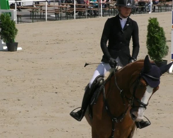 Reitturnier Ostenfelde-Vornholz 2023