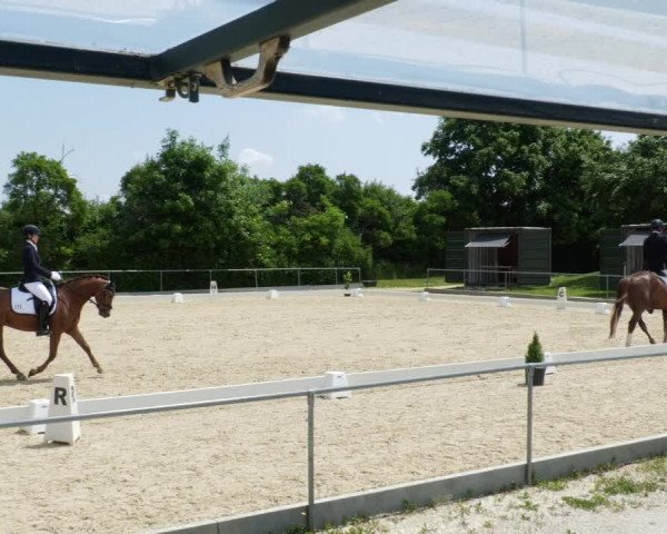 Reitturnier Blaubeuren 2023