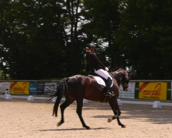 Reitturnier Ruhlsdorf 2023