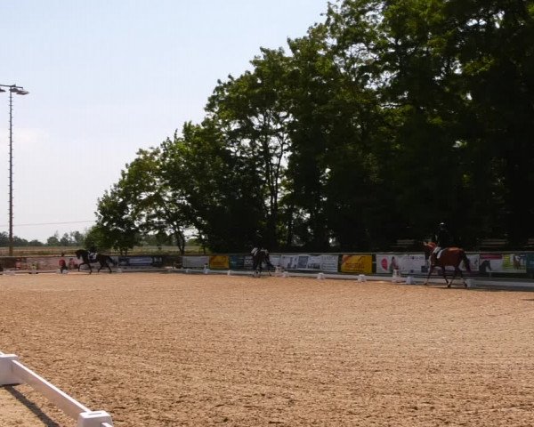 Reitturnier Ruhlsdorf 2023