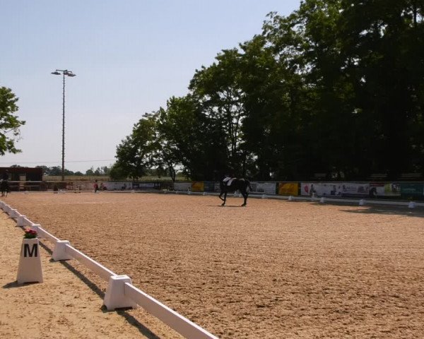 Reitturnier Ruhlsdorf 2023