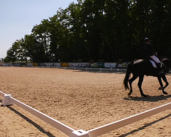 Reitturnier Ruhlsdorf 2023