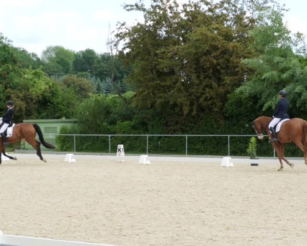Reitturnier Blaubeuren 2023