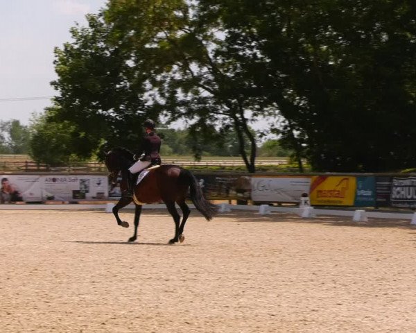 Reitturnier Ruhlsdorf 2023