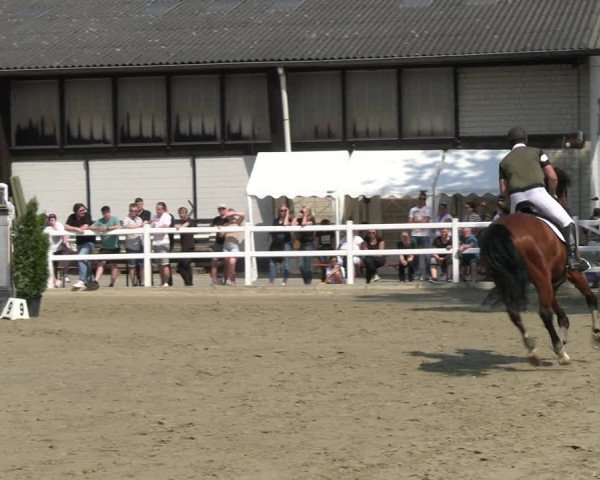 Reitturnier Dortmund-Somborn 2023