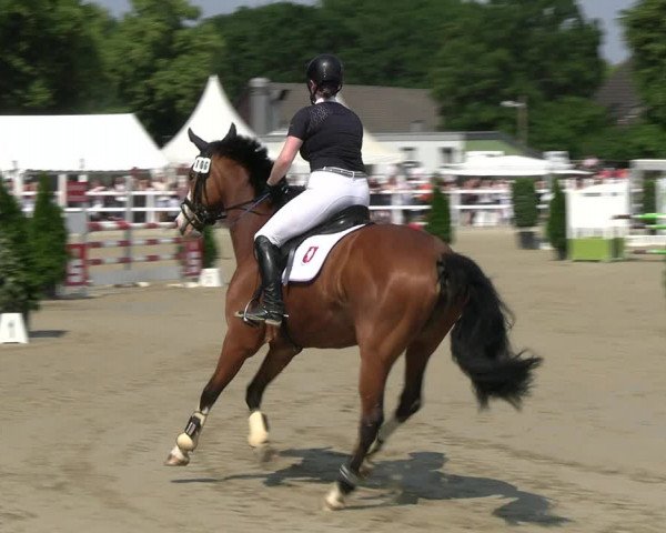 Reitturnier Dortmund-Somborn 2023