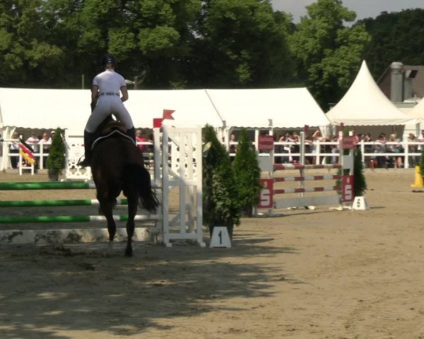 Reitturnier Dortmund-Somborn 2023