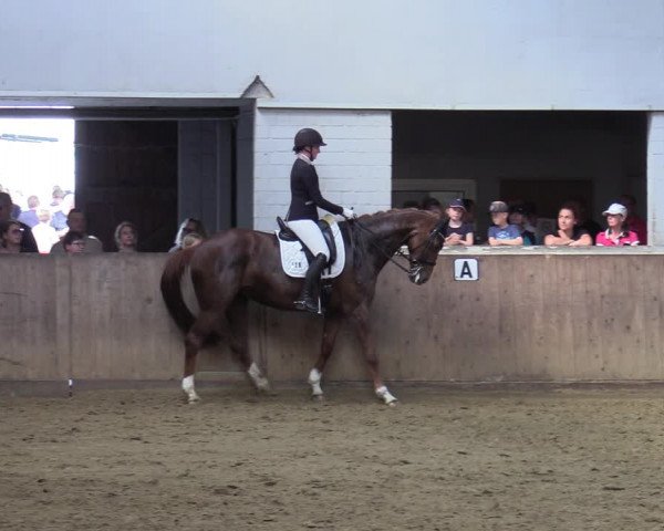 Reitturnier Dortmund-Somborn 2023