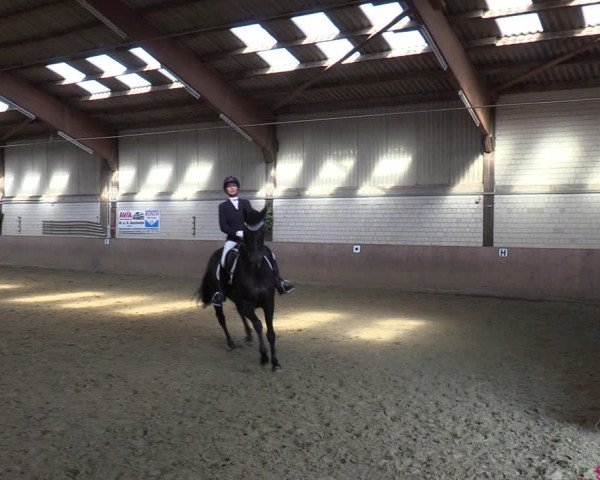 Reitturnier Dortmund-Somborn 2023