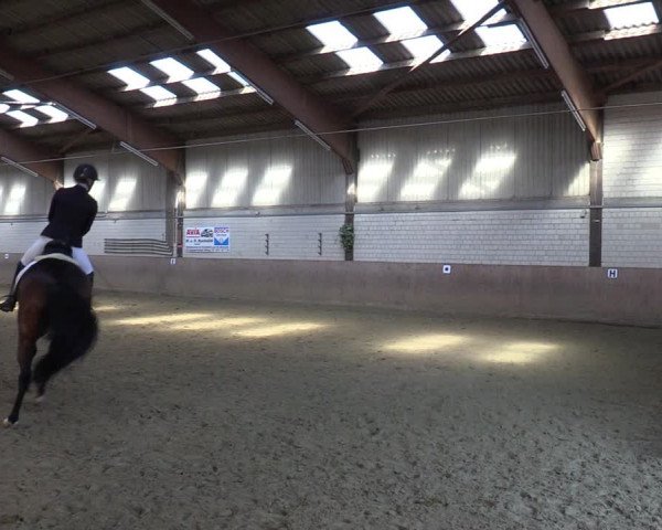Reitturnier Dortmund-Somborn 2023