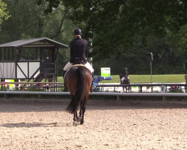 Reitturnier Hamm-Rhynern 2023