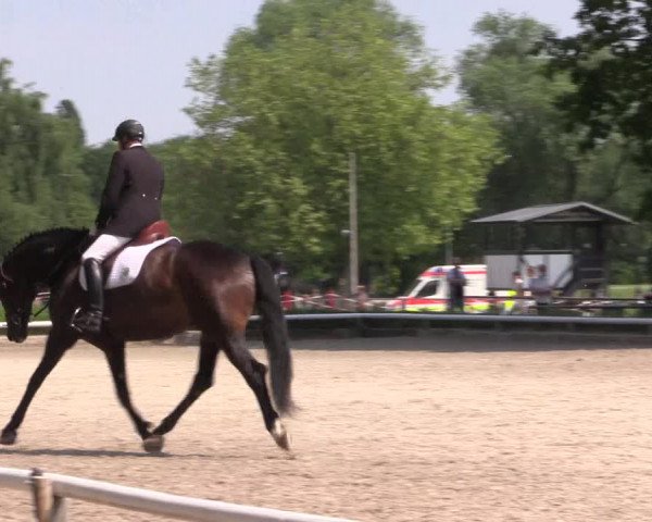 Reitturnier Hamm-Rhynern 2023