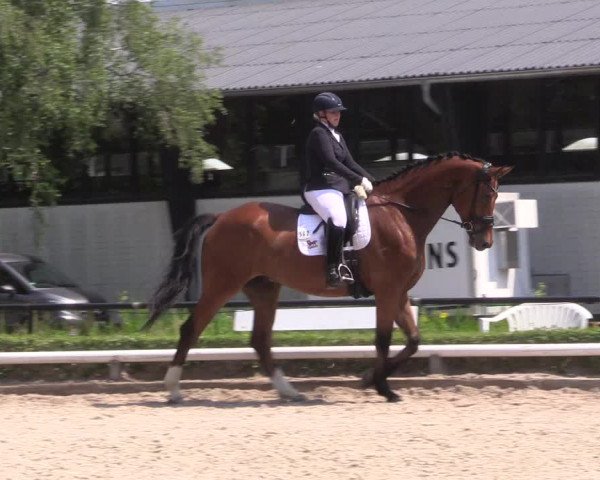 Reitturnier Hamm-Rhynern 2023
