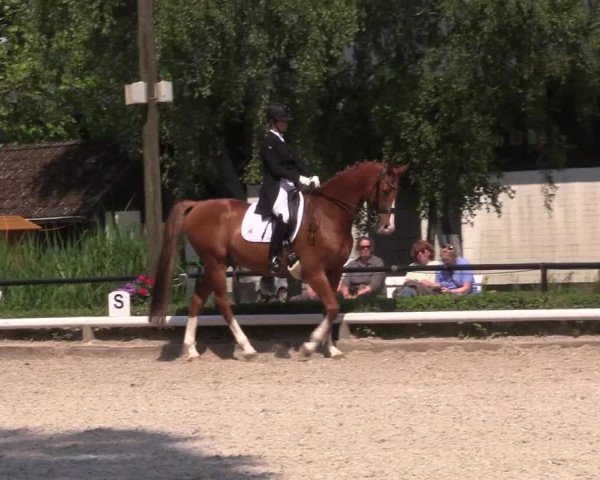 Reitturnier Hamm-Rhynern 2023