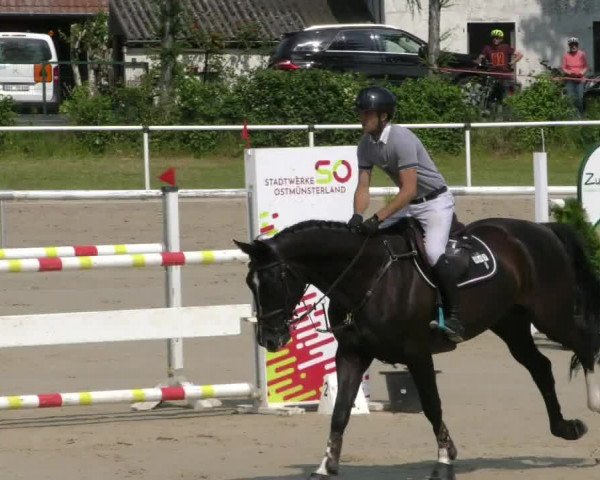 Reitturnier Ostenfelde-Vornholz 2023