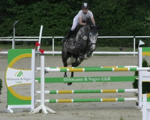 Reitturnier Ostenfelde-Vornholz 2023