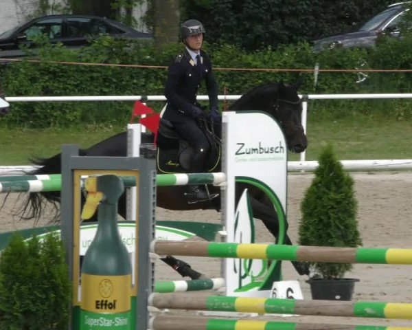 Reitturnier Ostenfelde-Vornholz 2023
