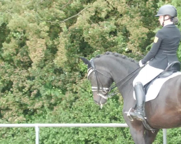Reitturnier Blaubeuren 2023