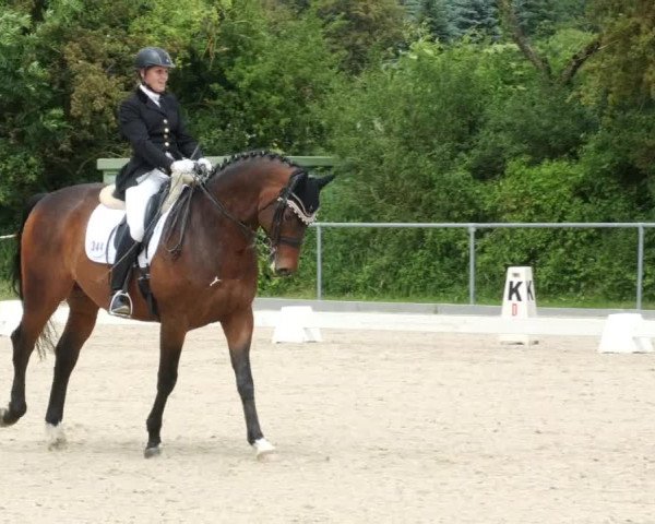 Reitturnier Blaubeuren 2023