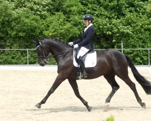 Reitturnier Blaubeuren 2023