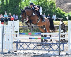 broodmare Diablesse Hi (German Sport Horse, 2006, from Corea)