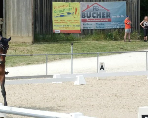 Reitturnier Blaubeuren 2023