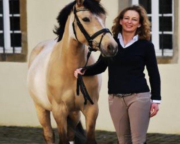 Dorothee Kellermann v. Schele