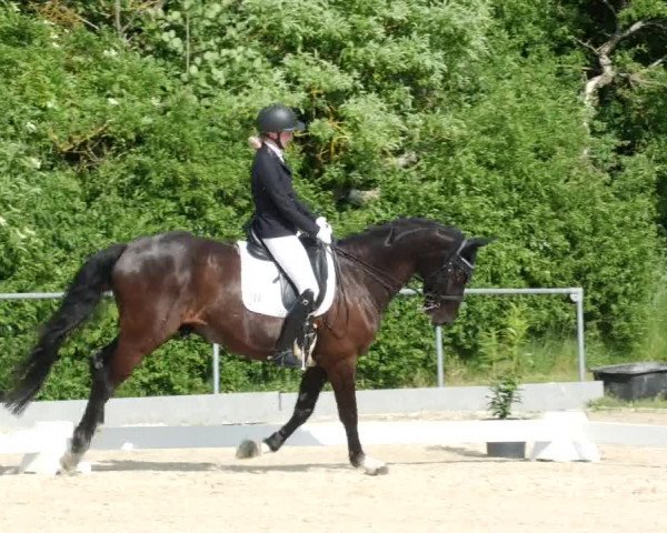 Reitturnier Blaubeuren 2023