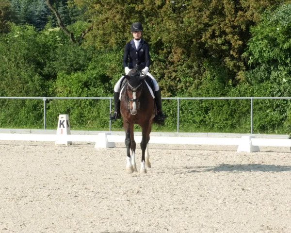 Reitturnier Blaubeuren 2023