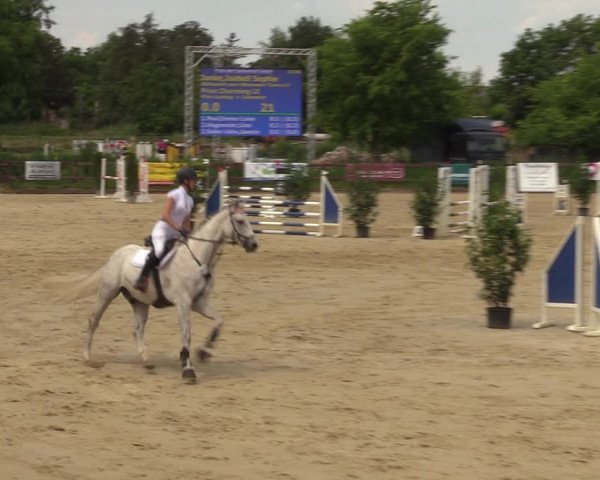 Reitturnier Schönfeld 2023