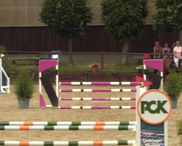 Reitturnier Schönfeld 2023