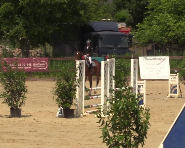Reitturnier Schönfeld 2023