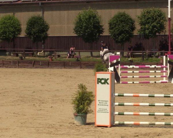 Reitturnier Schönfeld 2023