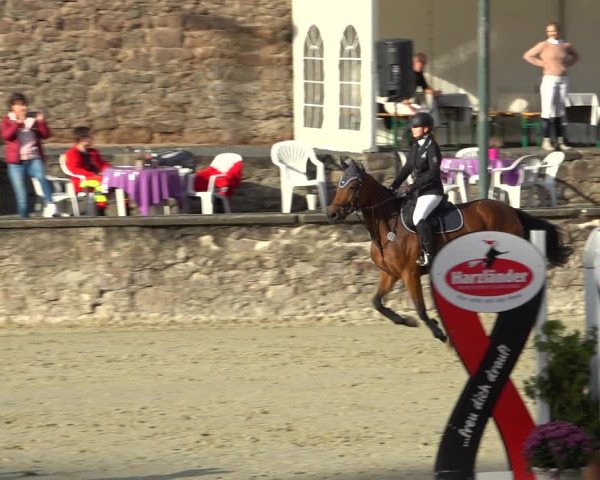 Erntedank Springturnier Nörten-Hardenberg 2021