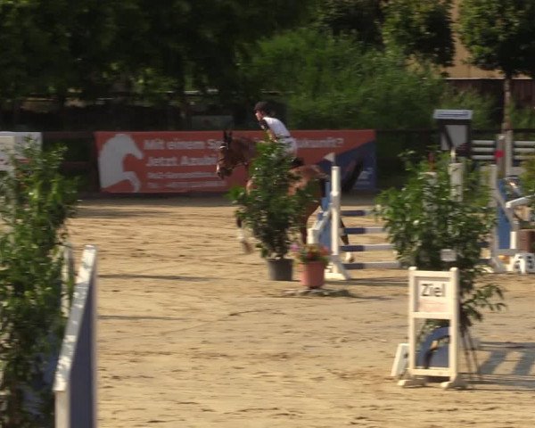 Reitturnier Schönfeld 2023