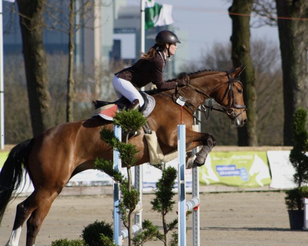 jumper Bruna Banani (Westphalian, 2017, from Bellini Royal)