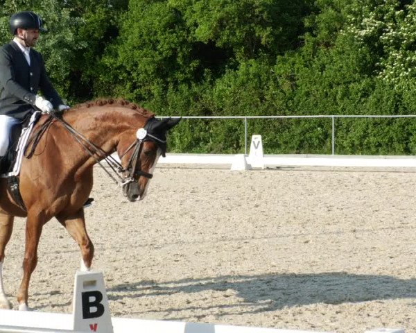 Reitturnier Blaubeuren 2023