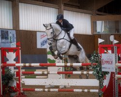 jumper Carl W (Westphalian, 2014, from Contendro I)