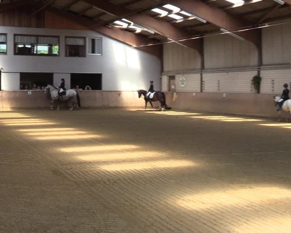 Reitturnier Dortmund-Somborn 2023