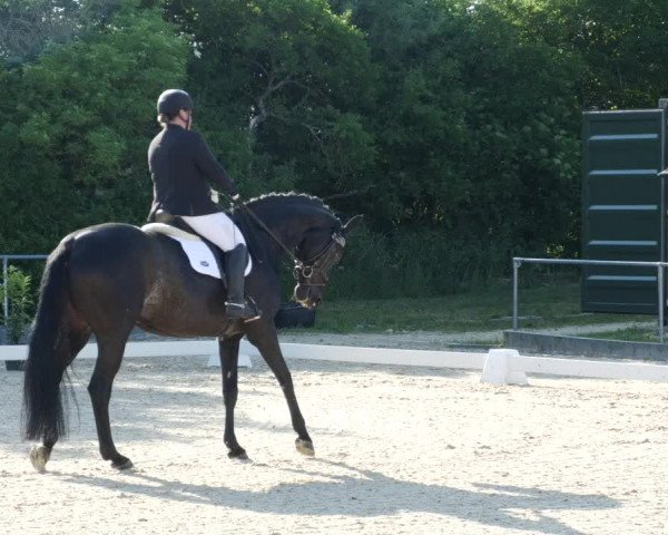 Reitturnier Blaubeuren 2023