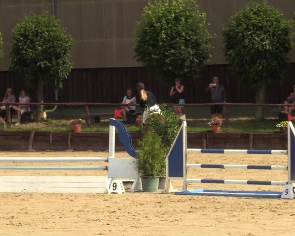 Reitturnier Schönfeld 2023