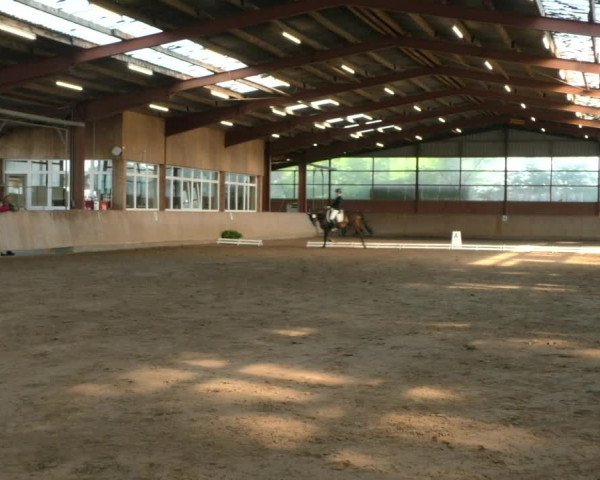 Reitturnier Ostenfelde-Vornholz 2023