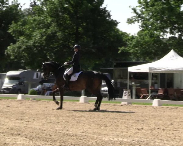 Reitturnier Derbypark Hamburg Klein-Flottbek 2023