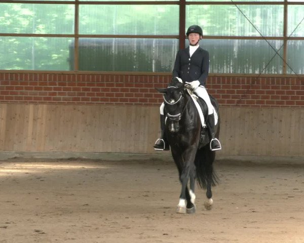 Reitturnier Ostenfelde-Vornholz 2023