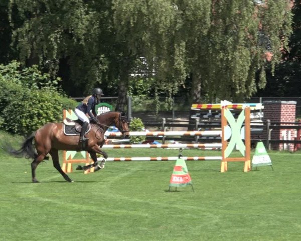 Reitturnier Derbypark Hamburg Klein-Flottbek 2023