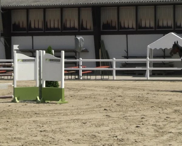 Reitturnier Dortmund-Somborn 2023