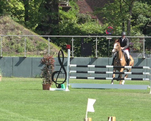 Reitturnier Derbypark Hamburg Klein-Flottbek 2023
