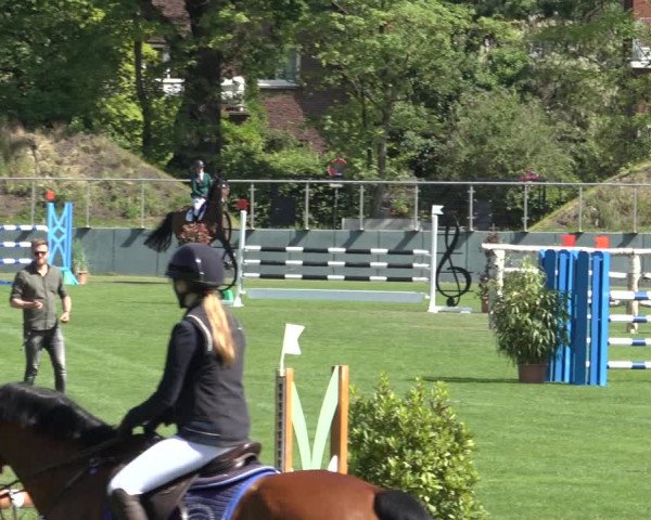 Reitturnier Derbypark Hamburg Klein-Flottbek 2023